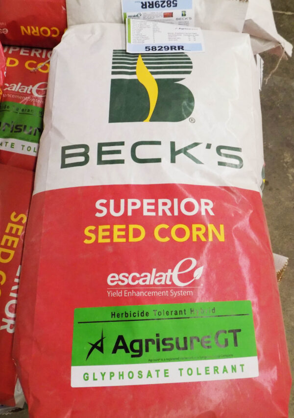 Seed Corn