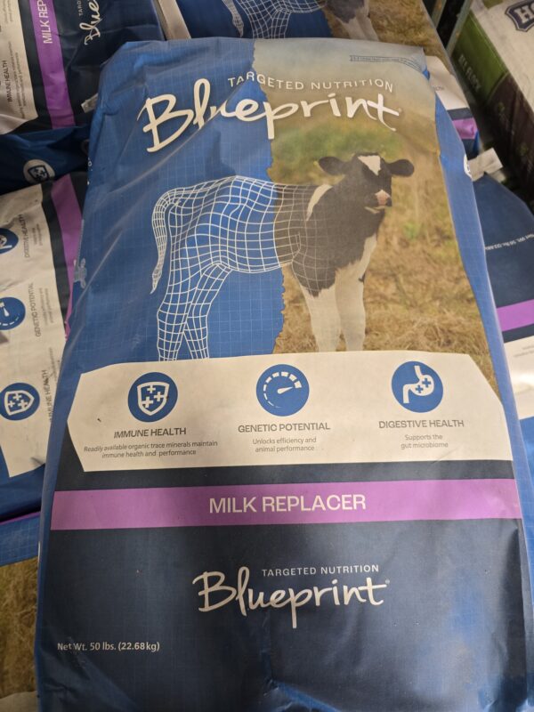 Milk Replacers - Image 3
