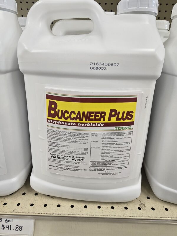 Buccaneer Plus