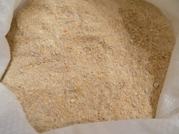16% Layer Mash