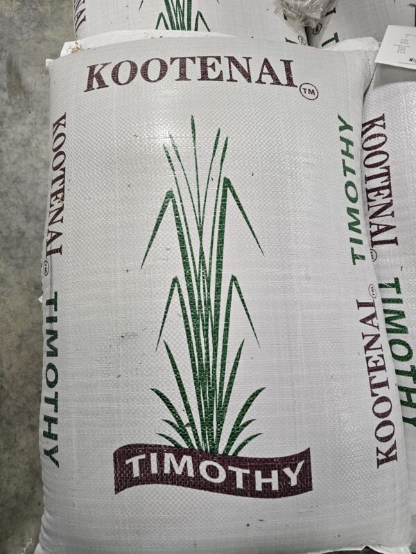 Timothy